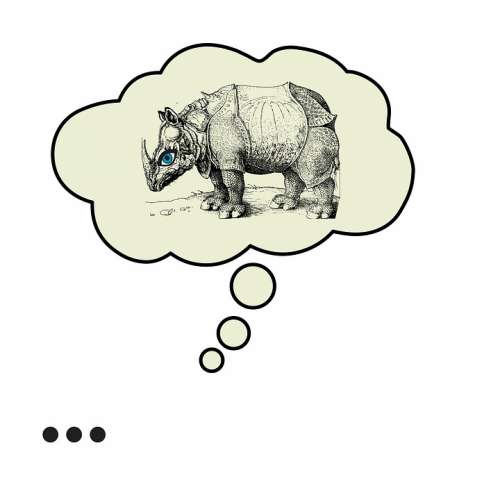 Rhino Bubble Albrecht Duerer Rhino Thinking Art