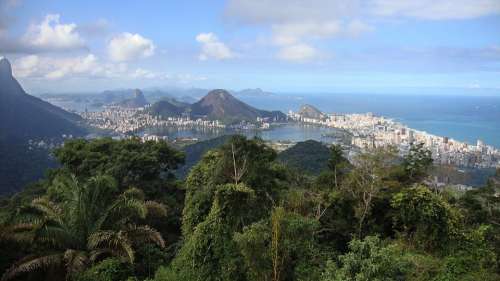 Rio De Janero Brazil City South America Jungle Sea