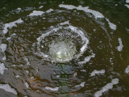 Ripples Water Fountain Liquid Ripple Circle