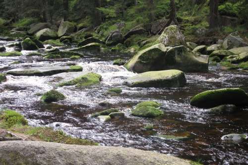 River Šumava Stones Nature