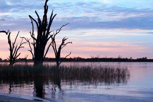 River Australia Scenic Evening Water Relax Sunset