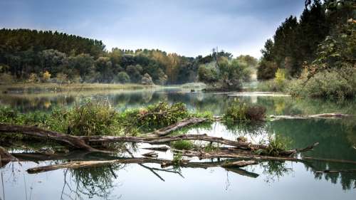River Danube Reflection Slovakia Trees Water