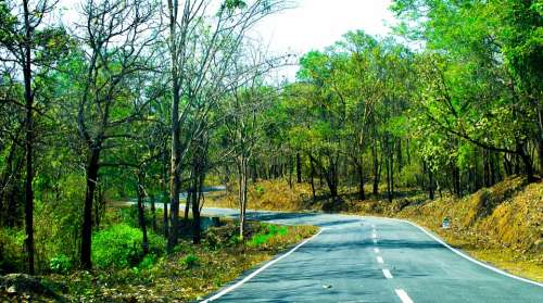 Road Landscape Away Forest Travel Trees Highway