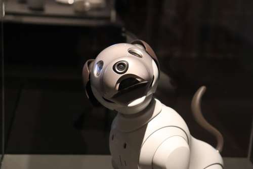 Robot Animal Dog Mechanics Design Snout