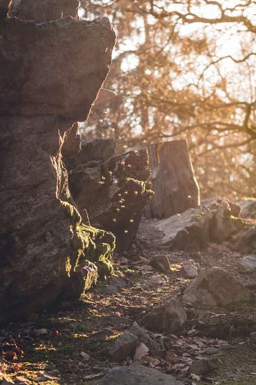 Rock Flying Sun Backlighting Stone Swarm Forest