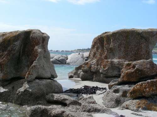 Rock Beach Sea Vacations Africa Cape Town