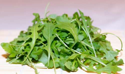 Rocket Plant Salad Fresh Green Leaves Herbs