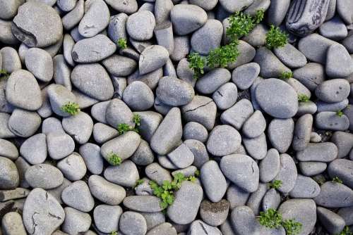 Rocks Stones Pebbles Background Gray Texture Grey