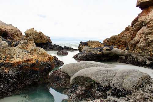 Rocks Coral Ocean Sea Water Sand Shells Coast
