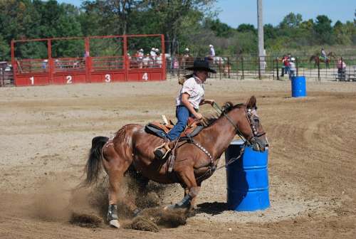 Rodeo Barrel Racing Cowgirl Equine