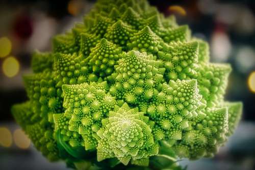Romanesco Cauliflower Vegetables Healthy Green