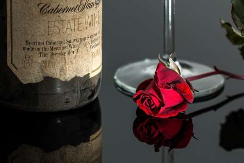 Rose Wine Red Romantic Bottle Drink Glass
