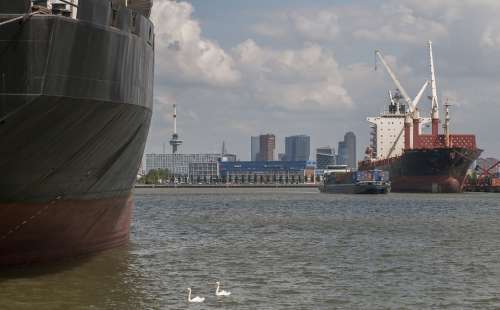 Rotterdam Port Boat Swan Skyline Water