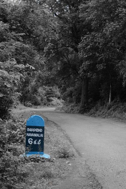 Route Marker Forest Road Navamalai Track Hike