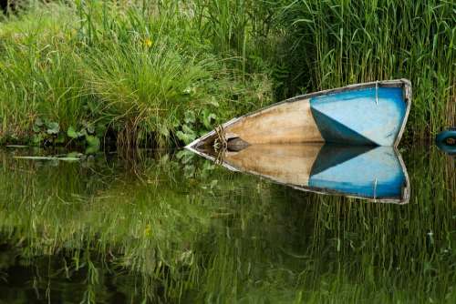 Rowing Boat Demise Water Reed Landscape Nature