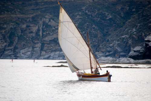 Sailboat Browse Summer