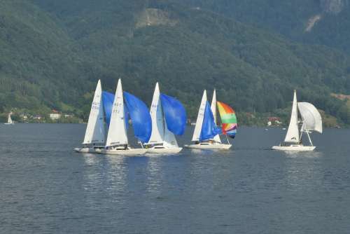 Sailing Contest Traunsee Austria Sports