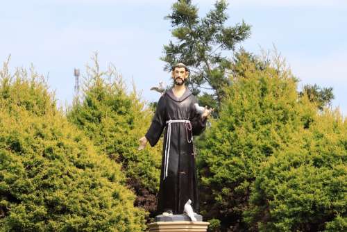 Saint Saint Francis Assisi Sculpture