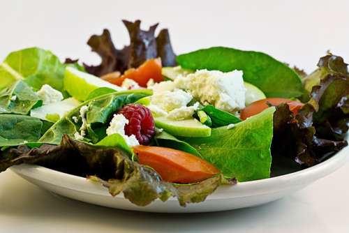 Salad Fresh Food Diet Health Dieting Meal