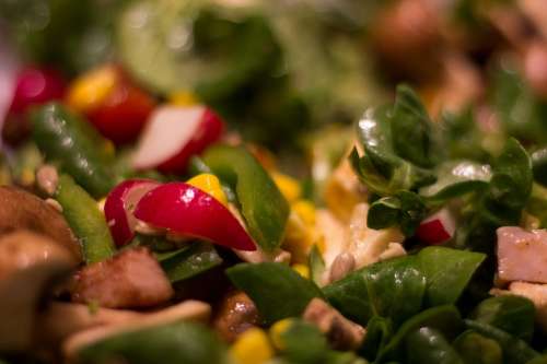 Salad Fresh Food Healthy Vegetables Eat Bio