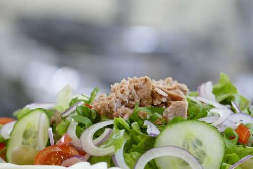 Salad Healthy Eat Green Food Fresh Vitamins