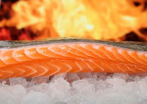 Salmon Fish Food On Ice Grilled Bbq Barbecue