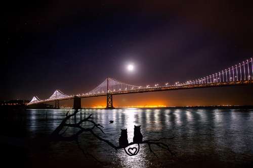 San Francisco Oakland Bay Bridge Water Reflections