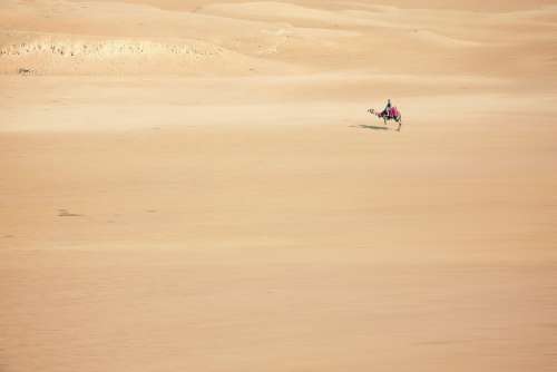 Sand Camel Desert Cairo Egypt Africa Desert Ship