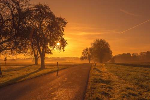 Scenic Road Sunrise Sunset Trees Meadow Morgenrot