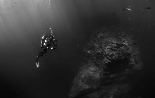Scuba Diver Diver Diving Underwater Water Sea
