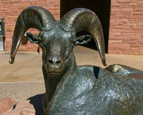 Sculpture Of Desert Bighorn Ram Bronze Statue Desert