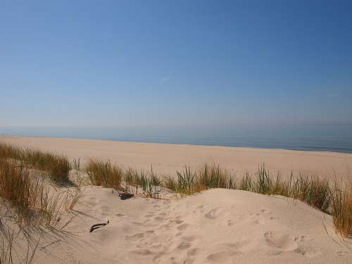 Sea Beach Water Dunes