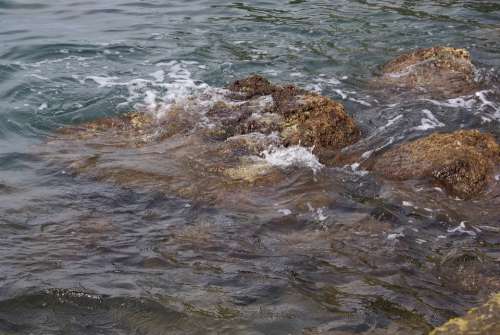 Sea Onda Rocks Water Nature The Waves Environment