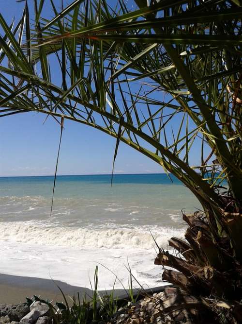 Sea Beach Italy Vacations Wave Palm