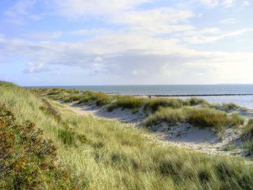 Sea Island Dunes Sylt Beach North Sea Nature