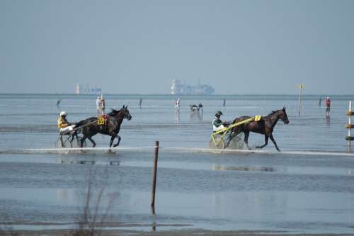 Sea Duhnen Watts Race Ships Horses North Sea