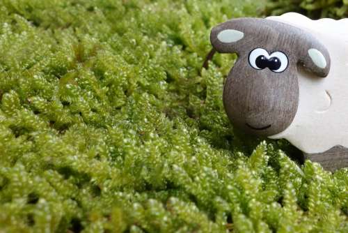 Sheep Moss Meadow Eyes Wood Wooden Toys Toys