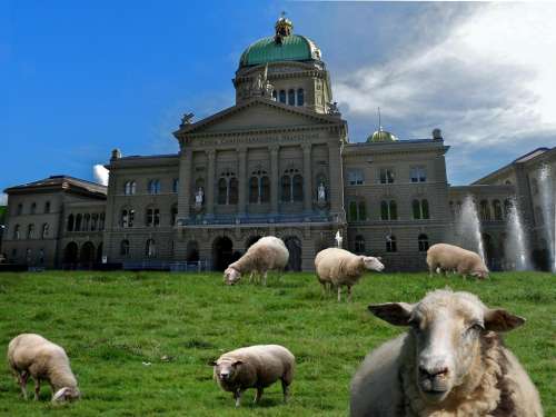 Sheep Meadow Government House Bundeshaus