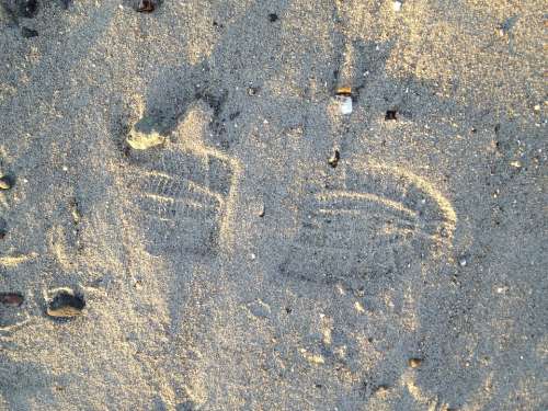 Shoe Footprint Sand Beach