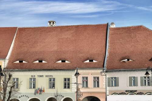 Sibiu Romania Eyes City City Trip Roofs