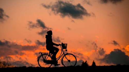 Silhouette Bike Fitness Woman Sporty Healthy