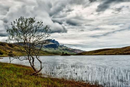 Sky Clouds Tree Waters Lake Hole Scotland