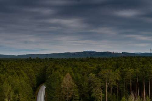 Sky Forest Trees Nature Landscape Clouds Scenic