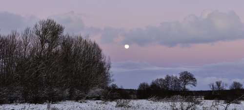 Sky Moon Winter Landscape Winter Evening