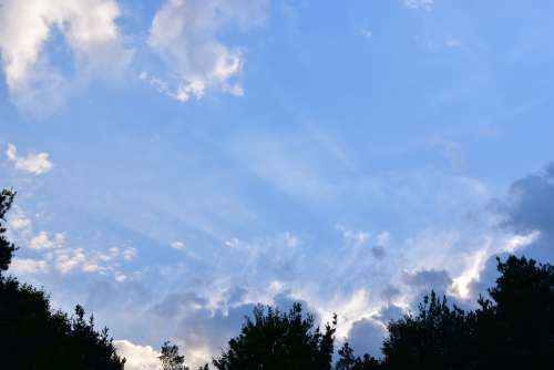 Sky Cloud Clouds Rays Summer Light Landscape Tree