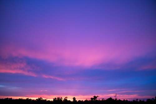 Sky Clouds Sunset Trees Horizon