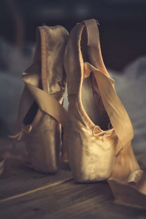 Slipper Dance Ballet Foot Classical Dancer