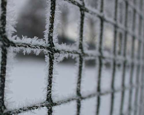 Snih Winter White Frost Fence