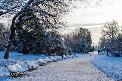 Snow Paris Winter France Cold City Trees