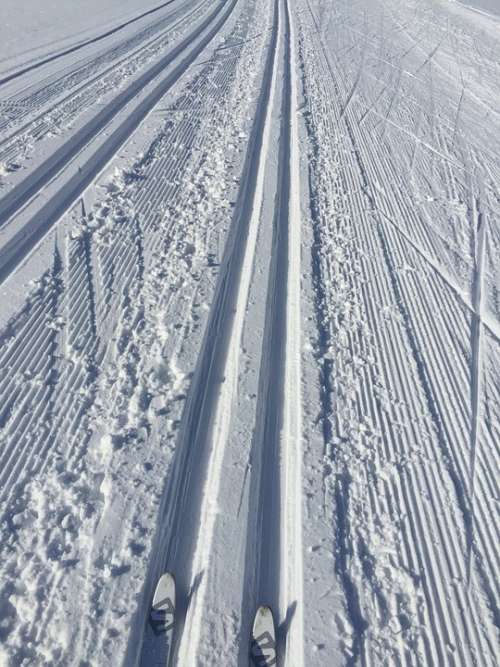 Snow Trail Cross Country Skiing Winter Sports Trace